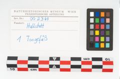 Etikett zu Kegelhalsgefäß (NHMW-PRAE-002349)